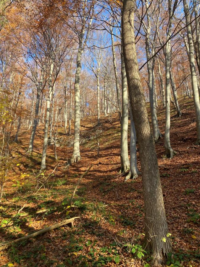 4Trees Holiday House Slunj Extérieur photo